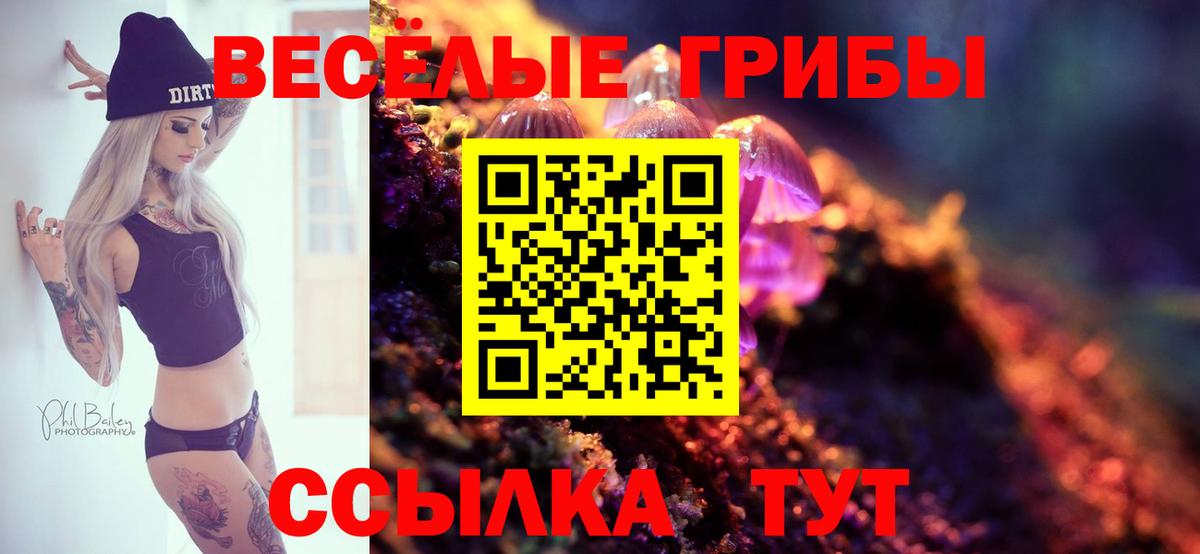 Псилоцибиновые грибы мицелий  Вход с VPN  Обь 