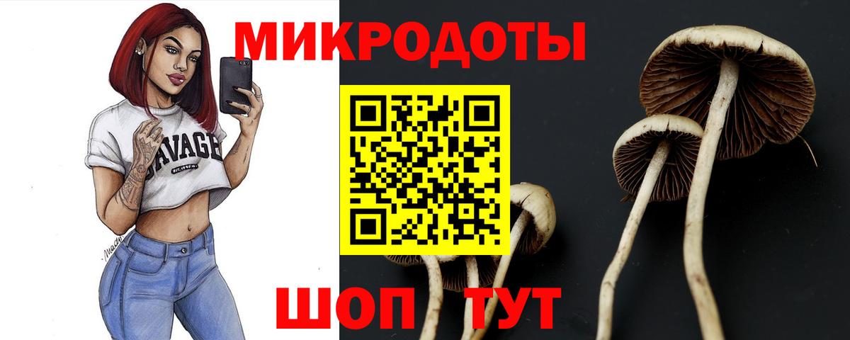 Галлюциногенные грибы Psilocybine cubensis Обь